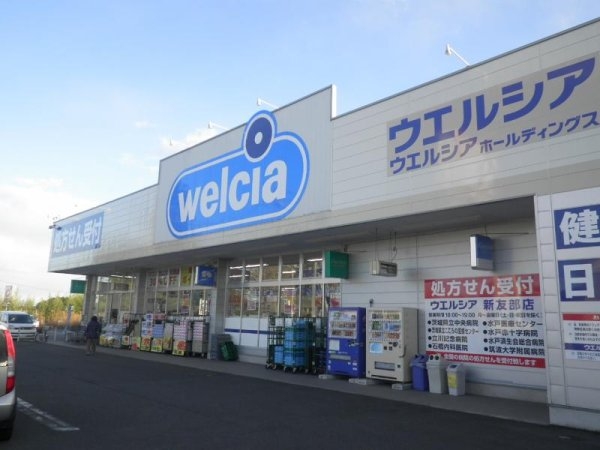 Cradlegarden　笠間市鯉淵　第9　1(ウエルシア新友部店)