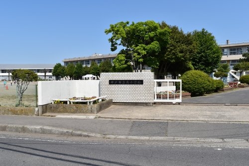 Cradlegarden　水戸市平須町　第8　3(水戸市立寿小学校)
