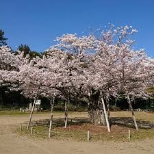 ハートフルタウン　ひたちなか市相金町33番　A(ひたちなか市立那珂湊第一小学校)