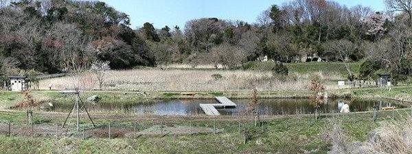 Cradlegarden　日立市石名坂町　第5　限定1棟！(赤羽緑地公園)