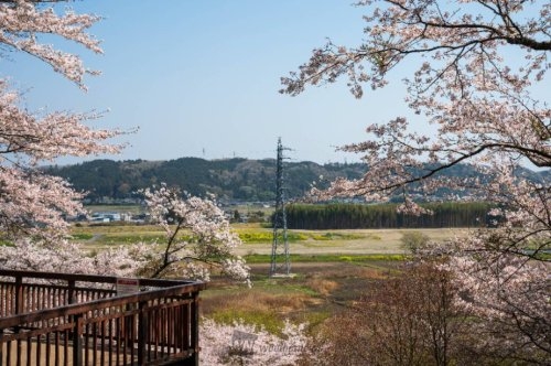 Cradlegarden　常陸大宮市南町　第2　4(宇留野公園)
