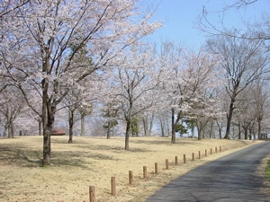 ハートフルタウン　常陸大宮市宇留野334番　B(大宮自然公園)