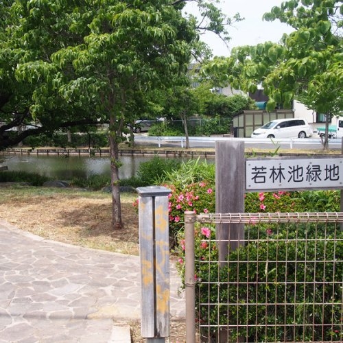 TERRACE　水戸市赤塚　1期　2(若林池緑地)