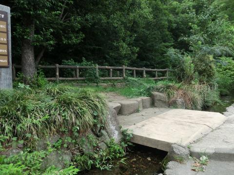 日野市新町4丁目 新築分譲住宅 7号棟【全10棟】(日野緑地)