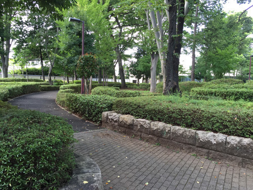 立川市富士見町3丁目 新築分譲住宅 8号棟【全12棟】(諏訪の森公園)