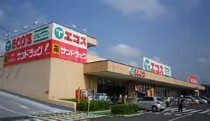 昭島市中神町1丁目 新築分譲住宅 1号棟【全2棟】(サンドラッグ中神二丁目店)