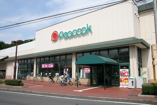 立川市栄町1丁目 第3 新築分譲住宅 2号棟【全2棟】(ピーコックストア国立弁天通り店)