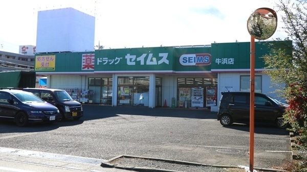 福生市福生 新築分譲住宅【全1棟】(ドラッグセイムス牛浜店)