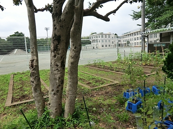 羽村市羽東3丁目　新築分譲住宅　A号棟【全1棟】(羽村市立羽村東小学校)
