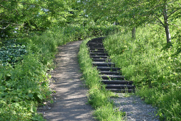 札幌市中央区盤渓の土地(荒井山緑地)