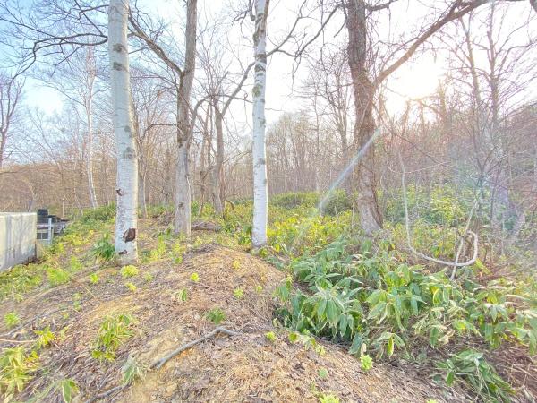 札幌市中央区盤渓の土地