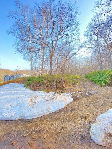 札幌市中央区盤渓の土地