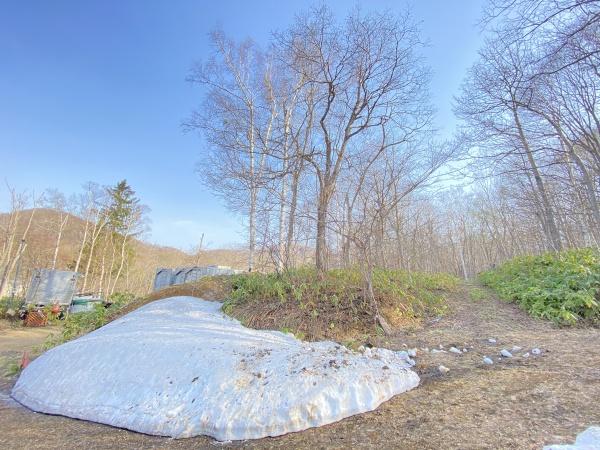 札幌市中央区盤渓の土地