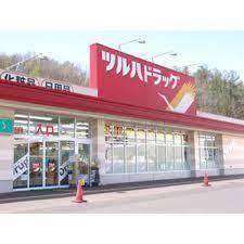 ビッグバーンズマンションN22(ツルハドラッグ北24条西店)