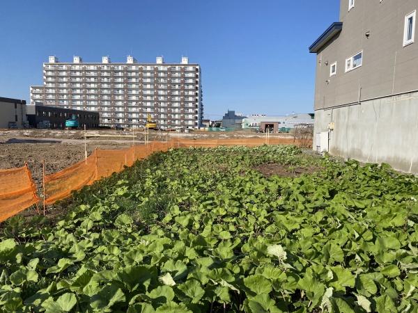 江別市大麻北町の土地