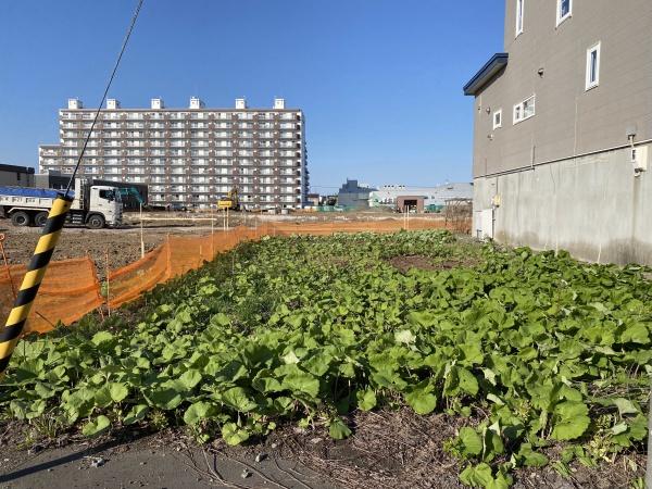 江別市大麻北町の売土地