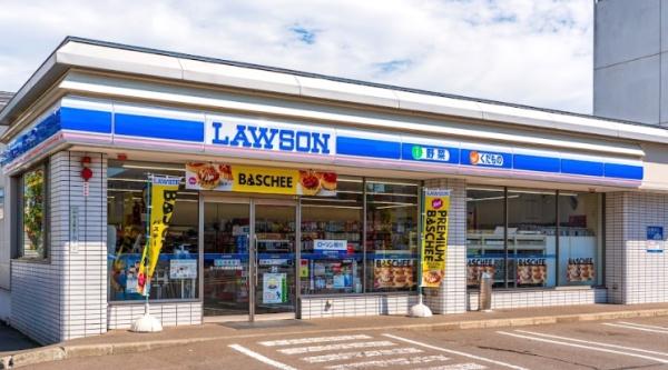 札幌市白石区中央一条6丁目の土地(ローソン札幌白石中央店)