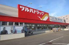 ロジェ山の手通り(ツルハドラッグ西野3条店)