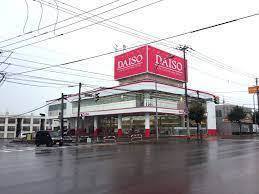 札幌市白石区平和通１１丁目南の土地(ダイソー札幌白石本通店)
