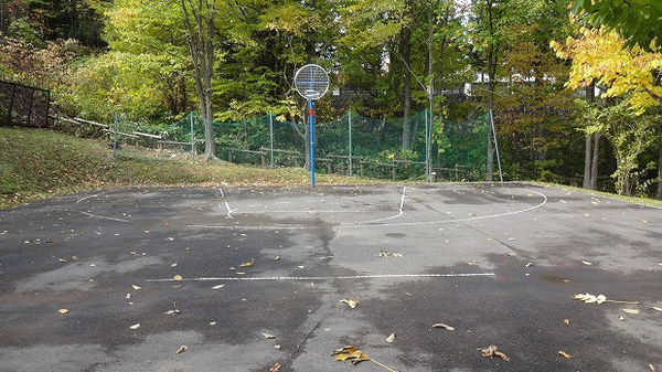 札幌市南区藤野六条９丁目の中古一戸建て(藤野ののさわ公園バスケットコート)