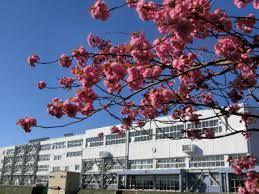札幌市西区西野十一条8丁目の土地(札幌市立西野中学校)