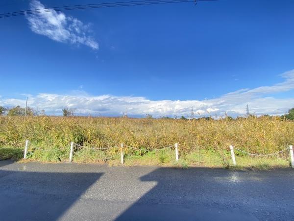 札幌市東区北丘珠五条3丁目の土地(その他)