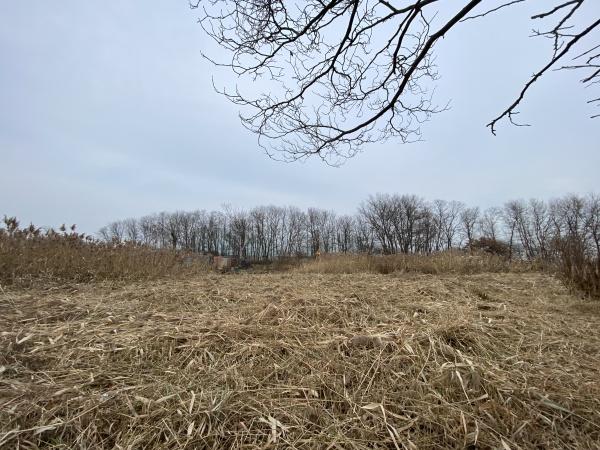 札幌市手稲区手稲前田の土地