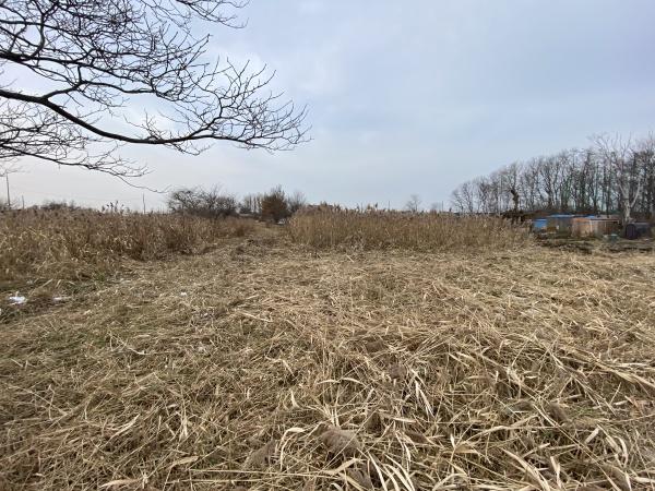 札幌市手稲区手稲前田の土地