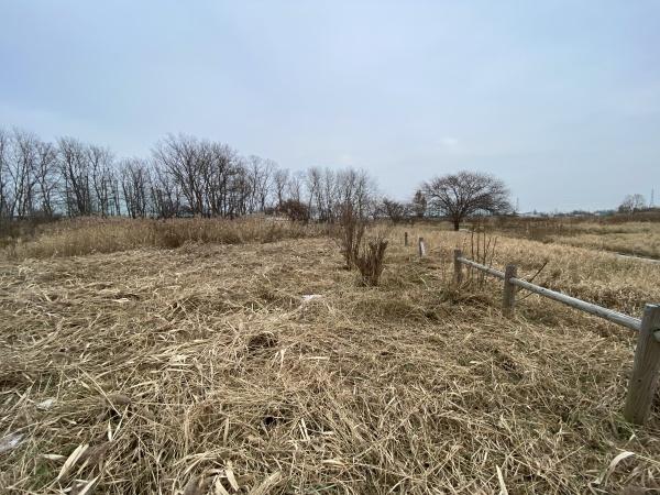 札幌市手稲区手稲前田の土地
