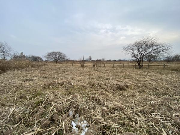 札幌市手稲区手稲前田の土地