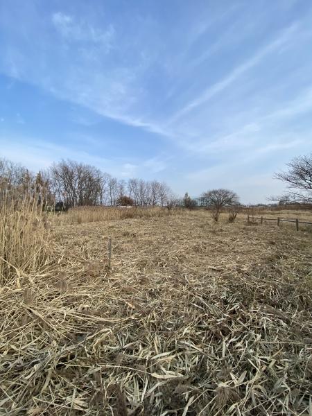 札幌市手稲区手稲前田の土地