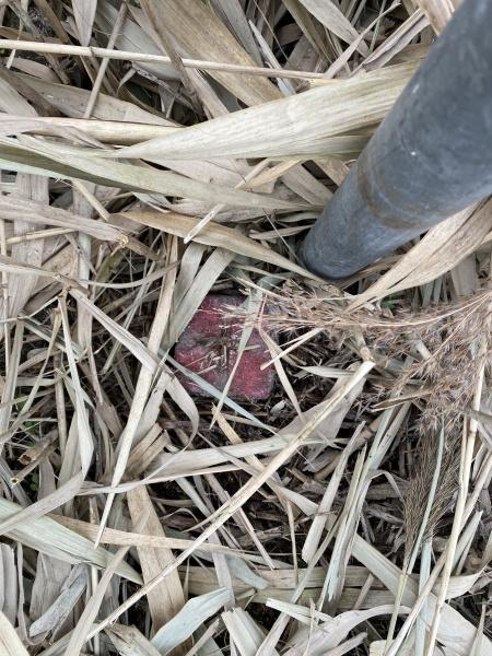 札幌市手稲区手稲前田の土地