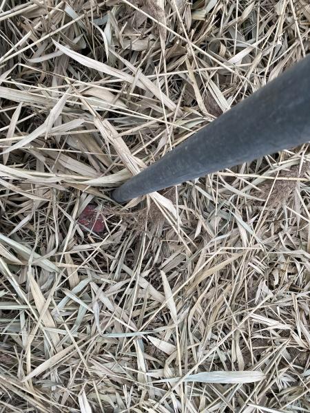 札幌市手稲区手稲前田の土地