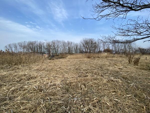 手稲前田　市街化調整　土地