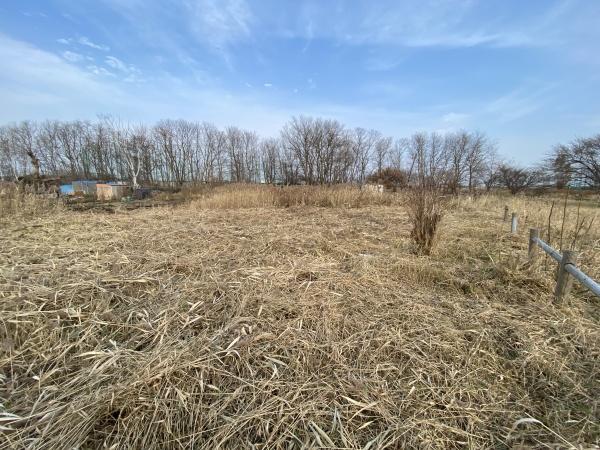 手稲前田　市街化調整　土地