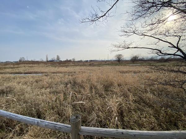 手稲前田　市街化調整　土地