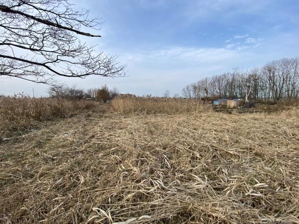 手稲前田　市街化調整　土地