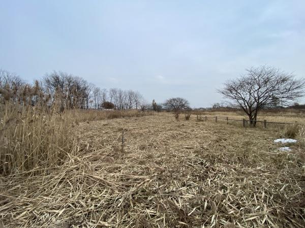 札幌市手稲区手稲前田の土地