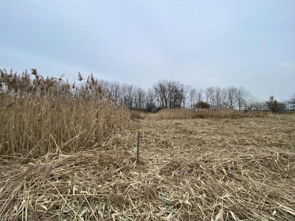 札幌市手稲区手稲前田の土地