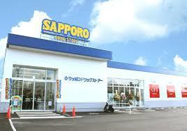 クリーンリバー南菊水(サツドラ豊平3条店)