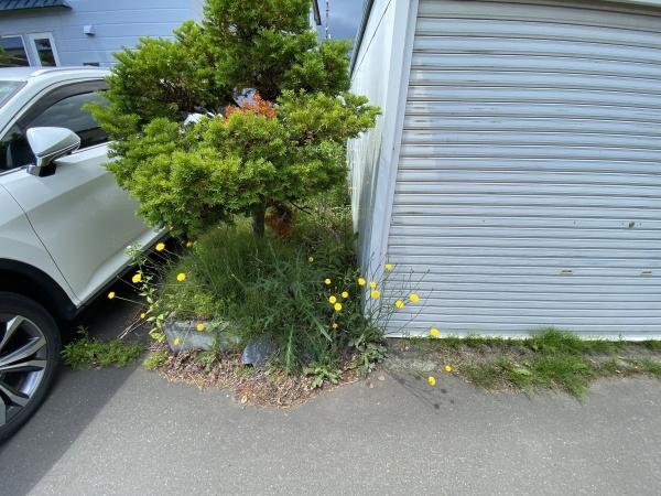 札幌市東区伏古十二条３丁目の土地