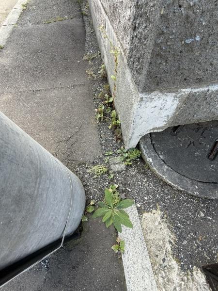 札幌市東区伏古十条２丁目の土地