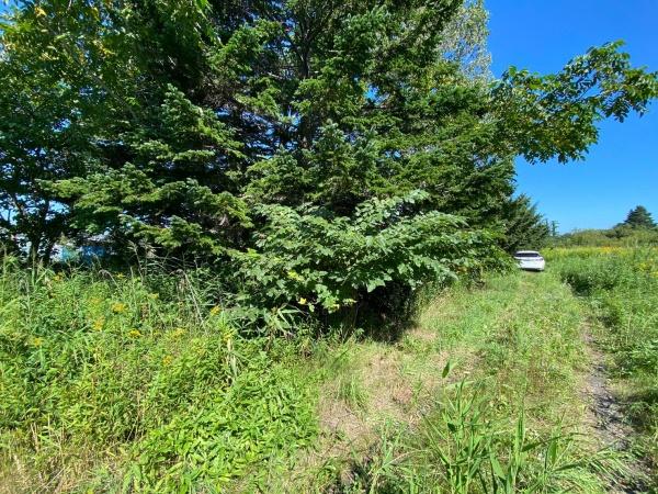 札幌市北区篠路町篠路の土地