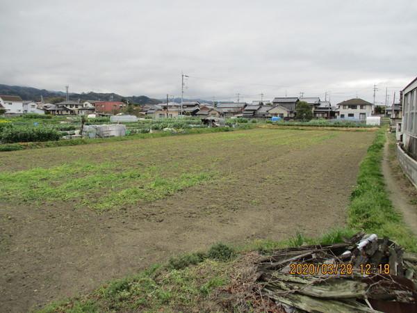府中