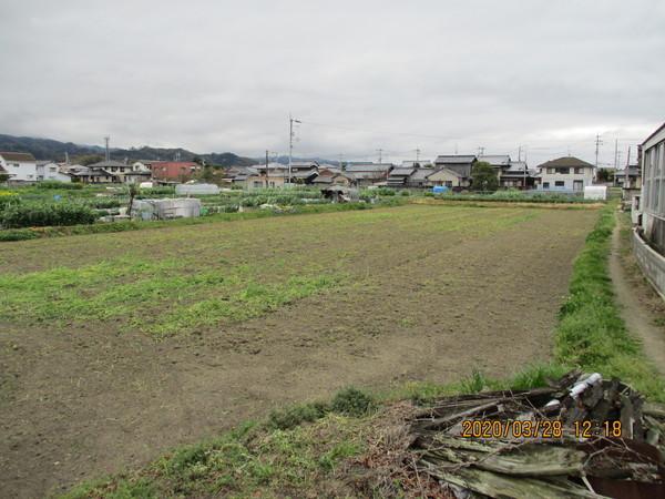 松山市府中の土地