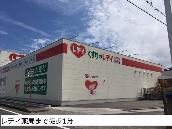 松山市北斎院町の土地(くすりのレデイ別府店)