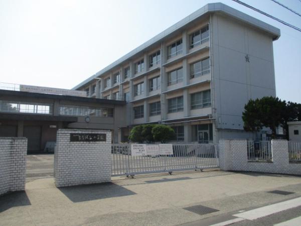 松山市生石町の土地(松山市立たちばな小学校)