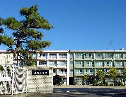 松山市水泥町の土地(松山市立小野小学校)