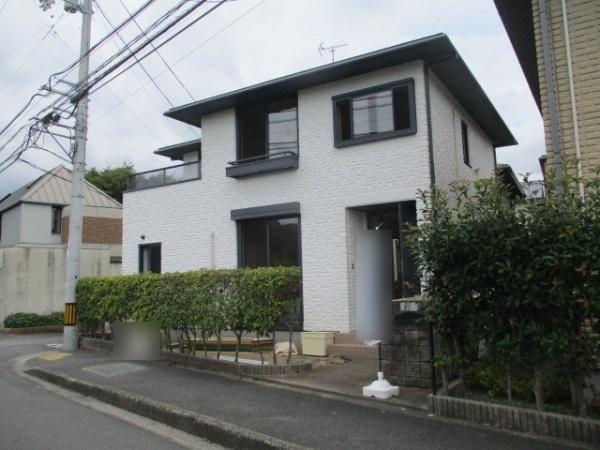 新石手
