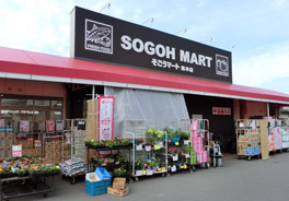 松山市平井町の中古一戸建て(そごうマート梅本店)